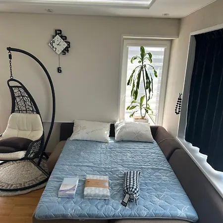 Apartment On Chilling On Relaxing *